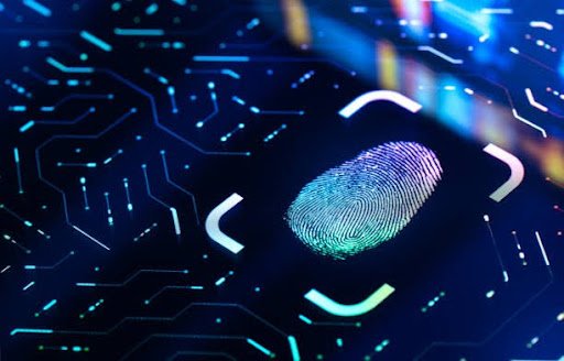 Biometric Authentication