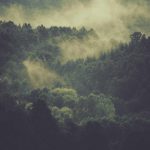 What readers should know before avoiding common mistakes
