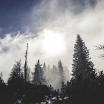 What readers should know before avoiding common mistakes